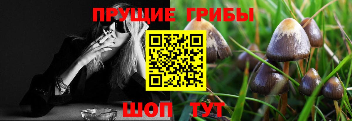 Троицк  Галлюциногенные грибы прущие грибы  Вход с VPN 